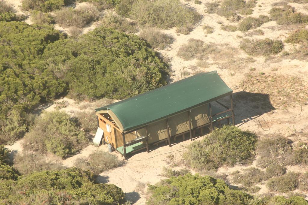 West Coast Luxury Tents Dwarskersbos Esterno foto